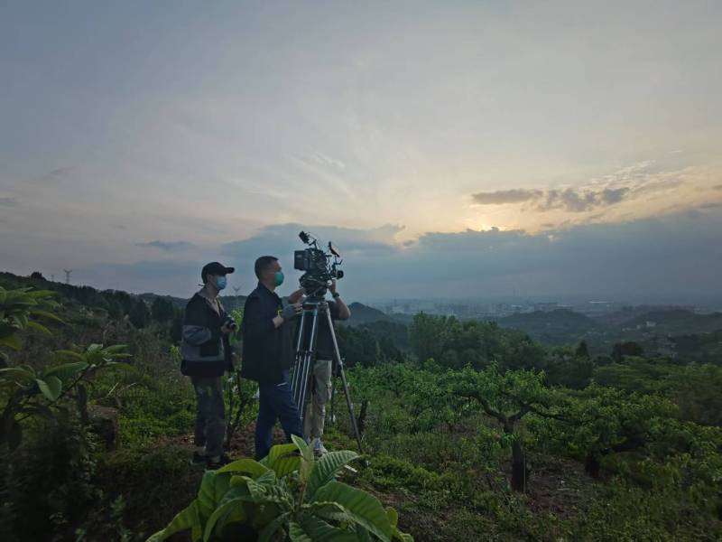 创意破圈！乳山市电商产品宣传视频用故事化叙事引爆流量