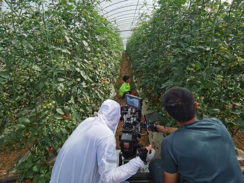 乳山市产品宣传视频拍摄公司进阶指南，助力品牌抢占传播高地